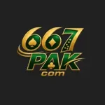 667pak game